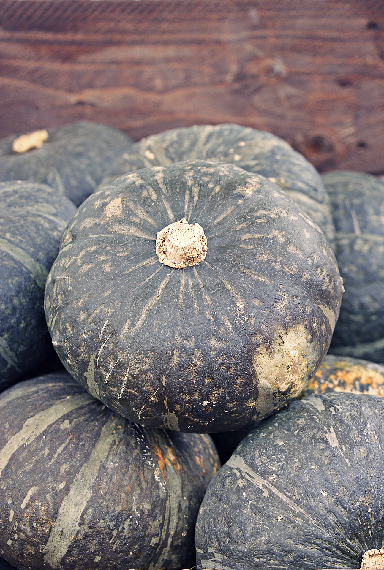 pumpkin-4461711_1920